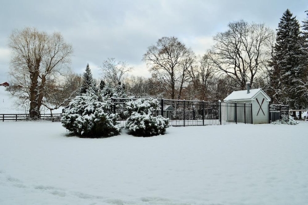 Maple Terrace Motel (Williamstown)